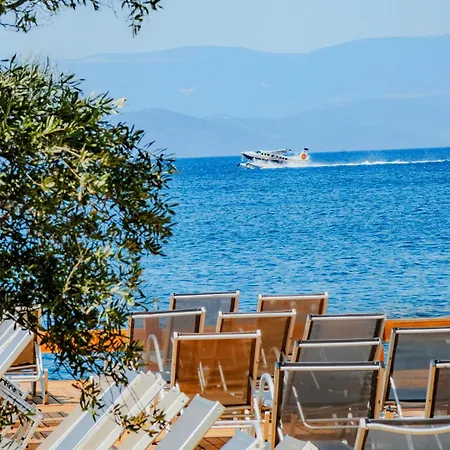 Hotel Orkide