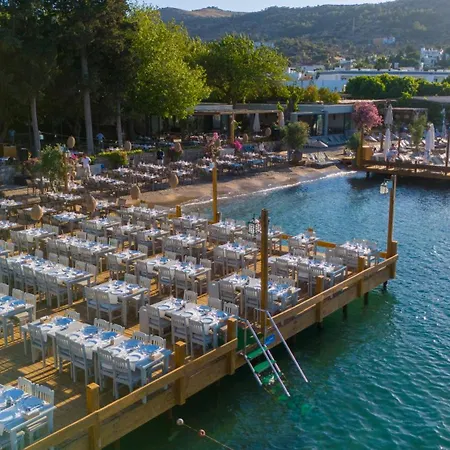 Orkide Bodrum
