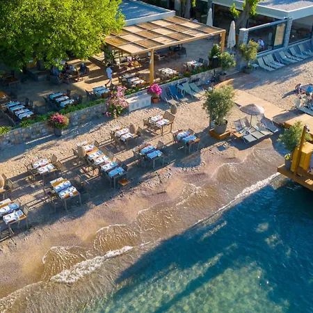 Orkide Hotel