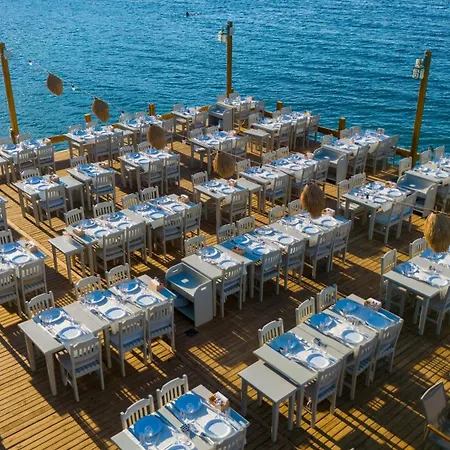 Orkide Hotel
