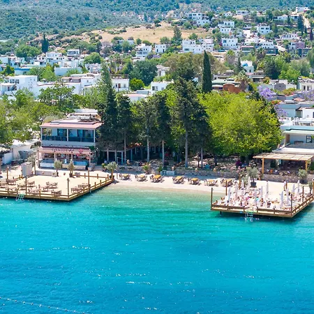 Hotel Orkide