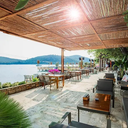 Orkide Hotel Bodrum