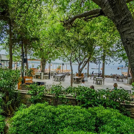 Orkide Hotel Bodrum